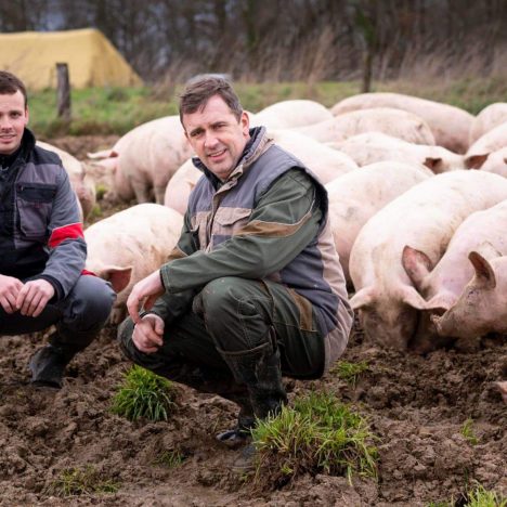 les jeunes et l'agriculture